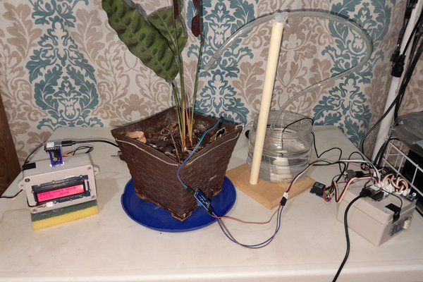 Seeed Plant Watering System