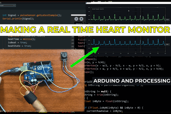 Real-Time ECG Heart Monitor (Arduino & Processing)