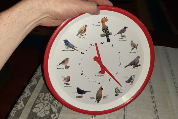 A Bird Clock - measuring time in a beautiful way