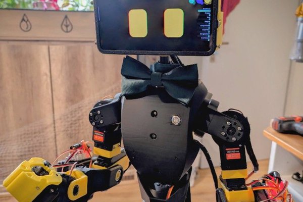 Almost humanoid robot