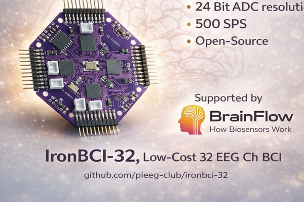 IronBCI-32: 32-Channel 24-Bit EEG for BCI Research