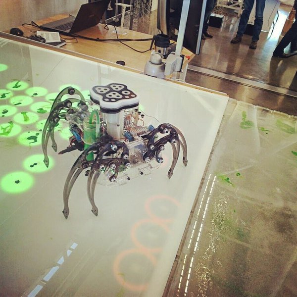 Terra Spider | Hackaday.io