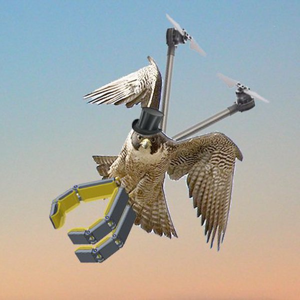 Falcon Claw | Hackaday.io