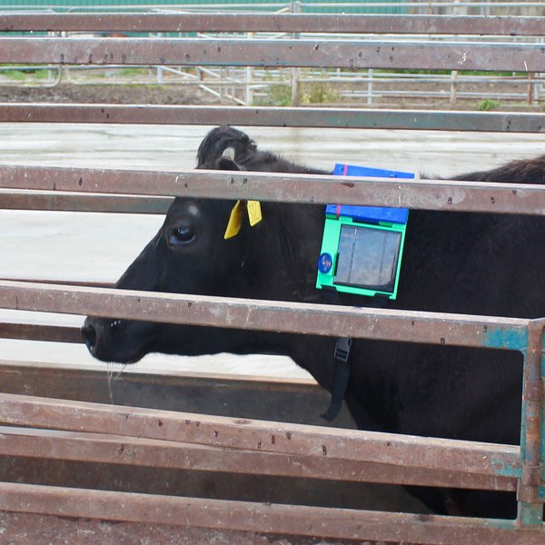 OpenFence Digital Livestock Fencing Hackaday.io