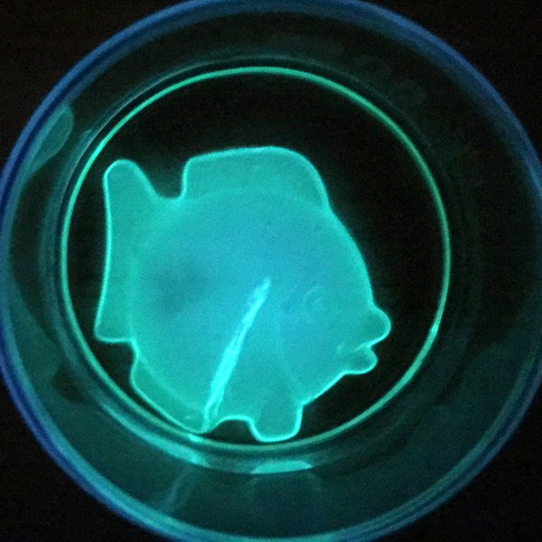 Artificial glow fish | Hackaday.io