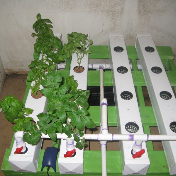 Low Cost Nft Hydroponic Garden (under $250) 