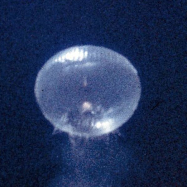 The Rockoon | Hackaday.io