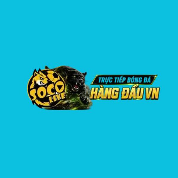 socolive-works