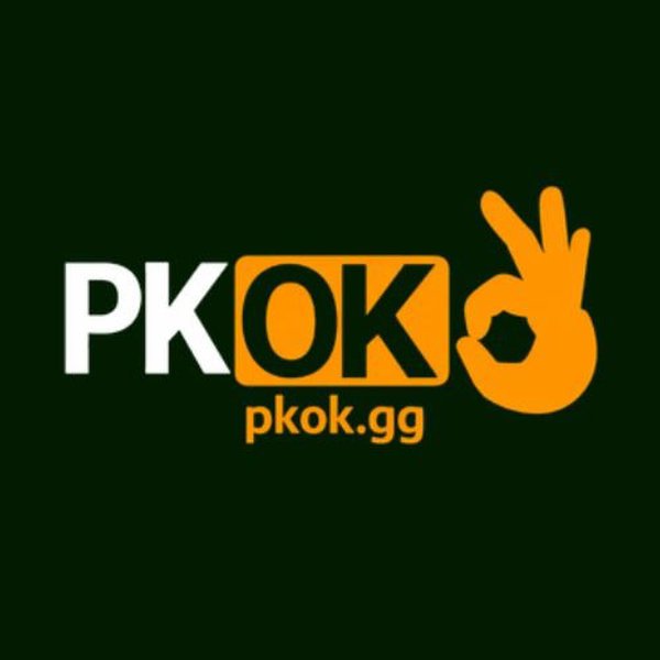 pkokggg's Profile | Hackaday.io