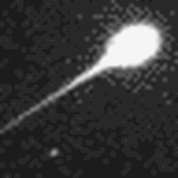 藤井大地 S Profile Hackaday Io