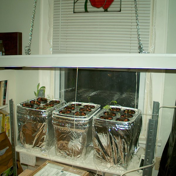 DIY DWC Hydroponics from Salvage | Hackaday.io