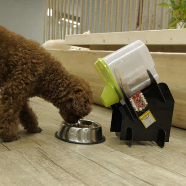 How to feed your pets when you're not home Hackaday.io