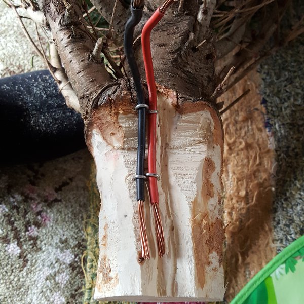 TreeMail WiFi Christmas Tree Hackaday.io