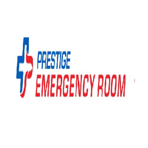Prestige Emergency Room's Profile Hackaday.io