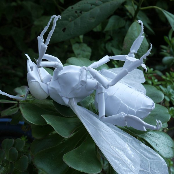 Honey Bee Exoskeleton Template Hackaday.io