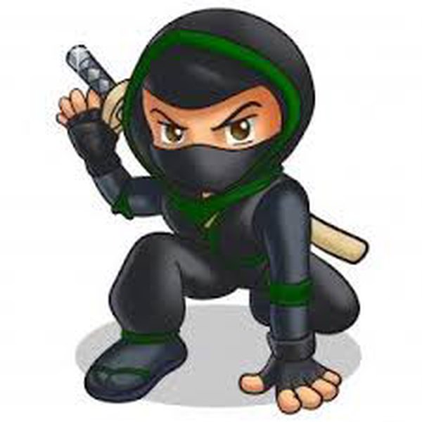ninja4good