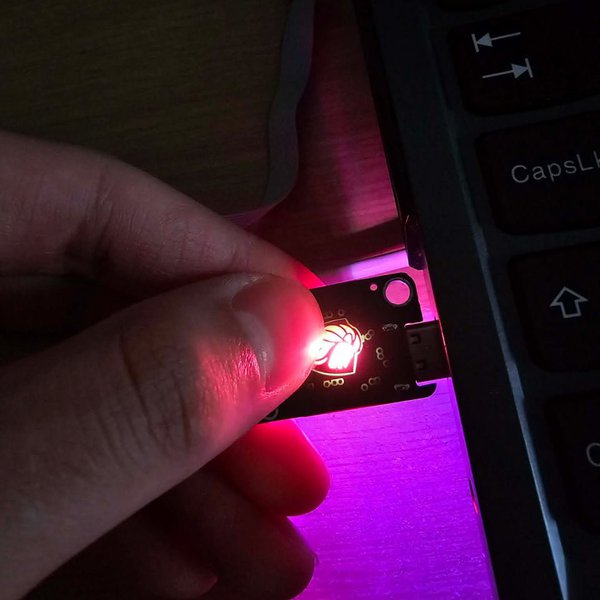 LionKey: FIDO2 USB-A/C key for passwordless login | Hackaday.io