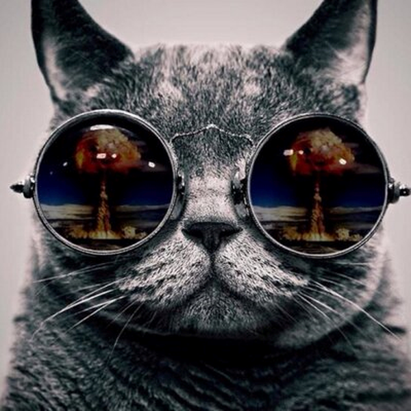 Benjamin Rowlands's Profile | Hackaday.io