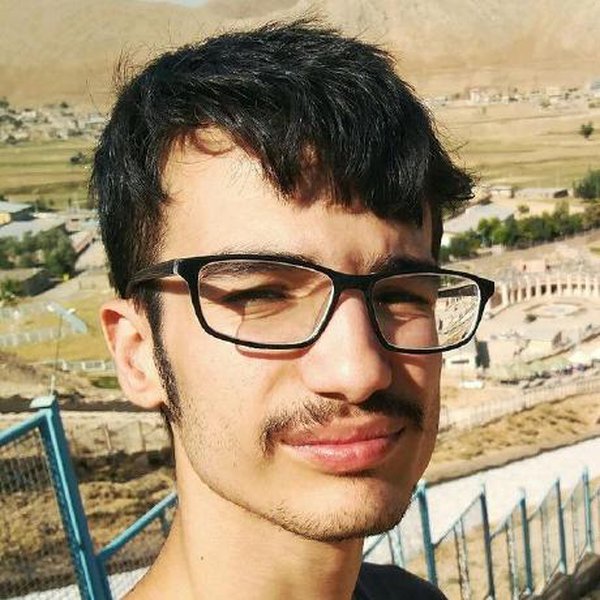 Amir Sepehri's Profile | Hackaday.io