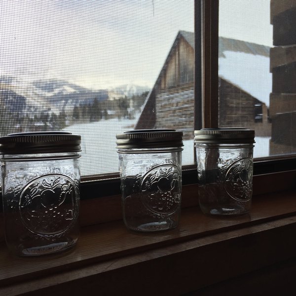 Firefly Jar | Hackaday.io