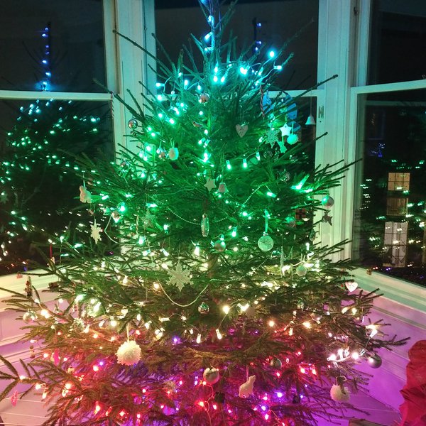 Christmas Tree Paint | Hackaday.io