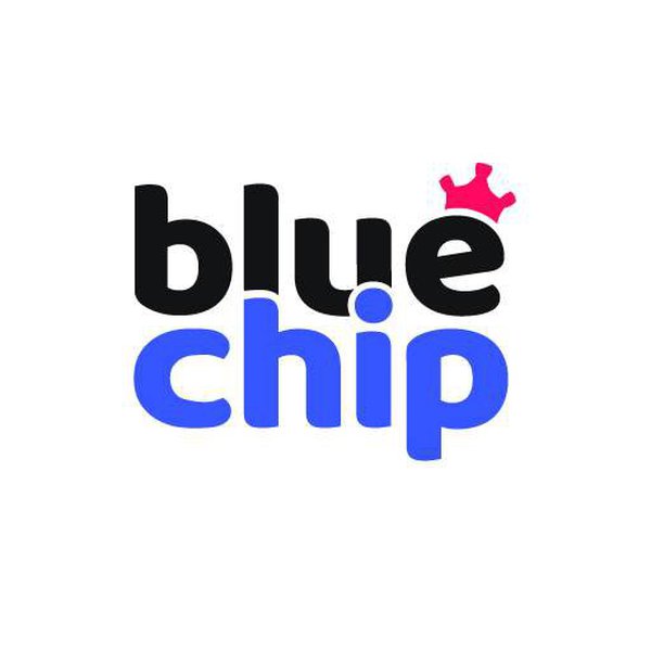 bluechipgame8's Profile | Hackaday.io