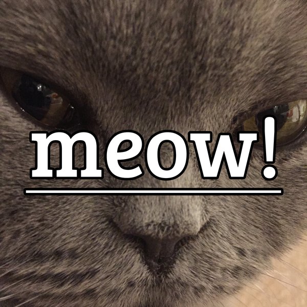 meow! Hackaday.io