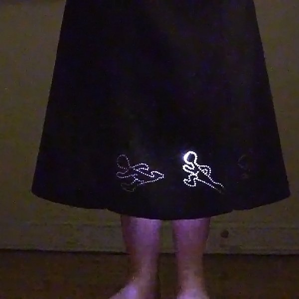 Skirt Chaser Zoetrope Skirt