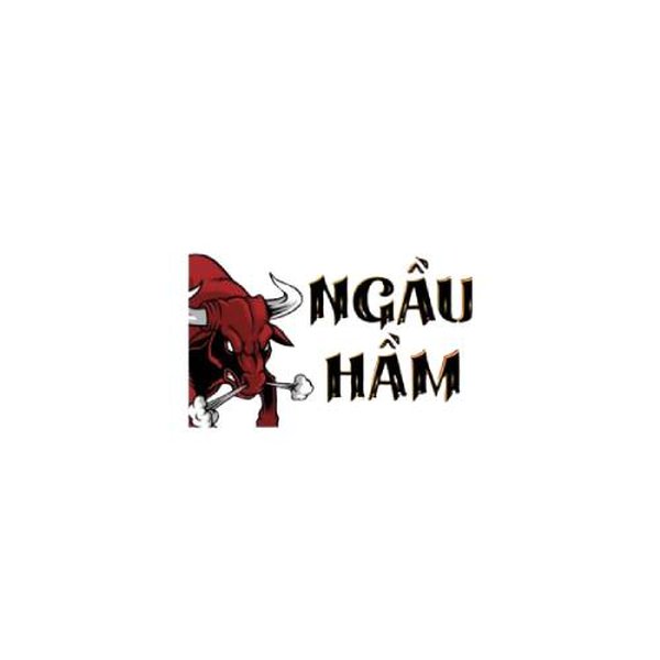 Ngầu hầm's Profile | Hackaday.io