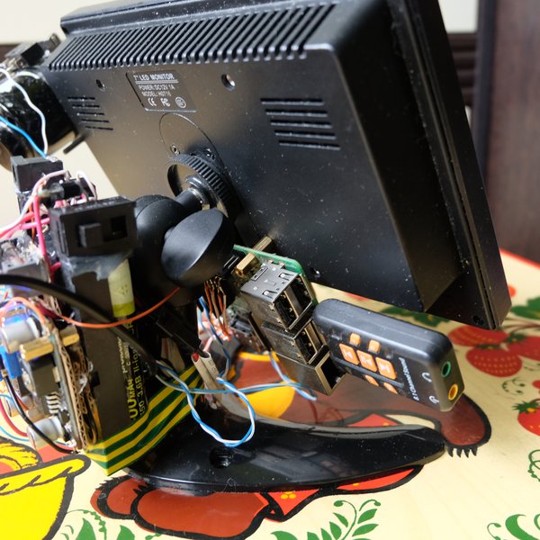 Insane Pi | Hackaday.io