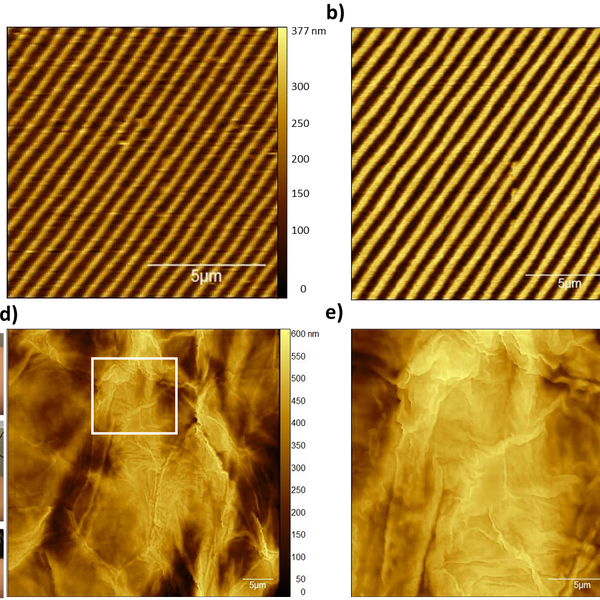 Low-cost and high-speed nanoscale imaging tool | Hackaday.io