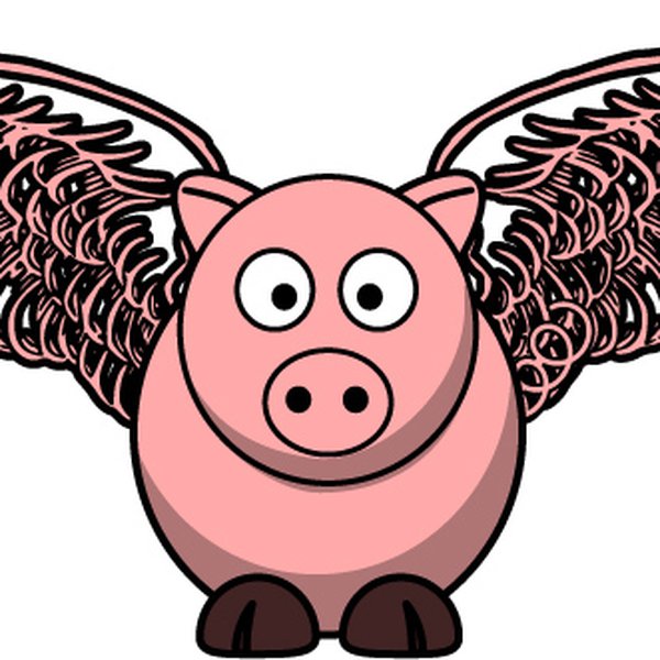 Pig Hawk | Hackaday.io