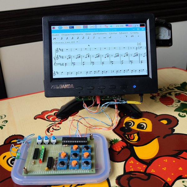 Insane Pi | Hackaday.io