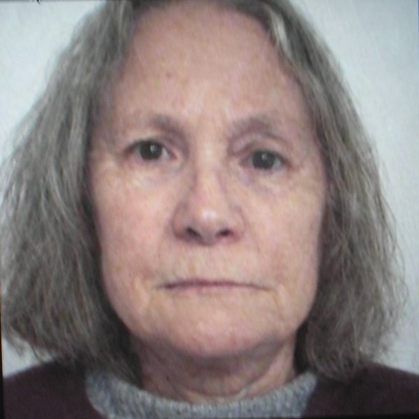 sally-jenkins
