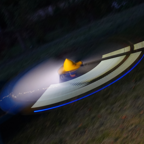 The 