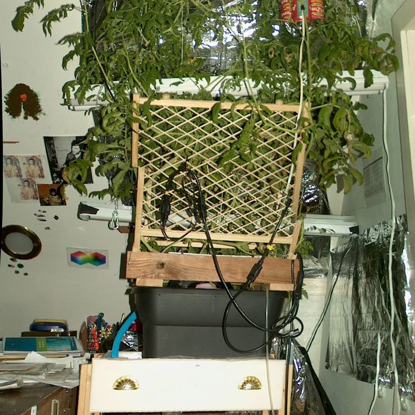 DIY DWC Hydroponics from Salvage | Hackaday.io