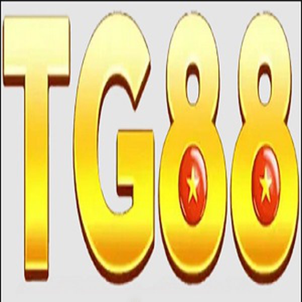 tg88z1com