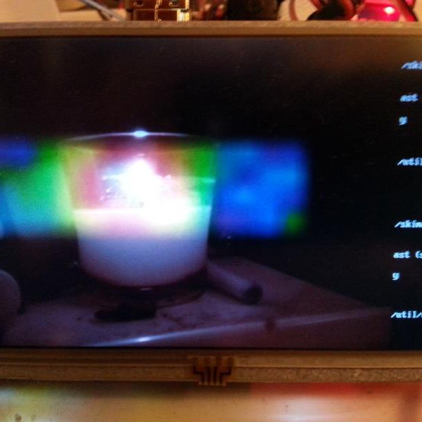 flir thermal camera raspberry pi