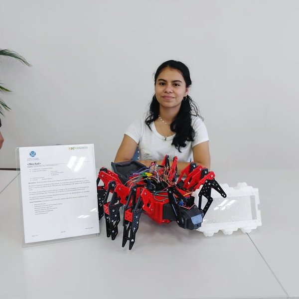 Meca Spider | Hackaday.io