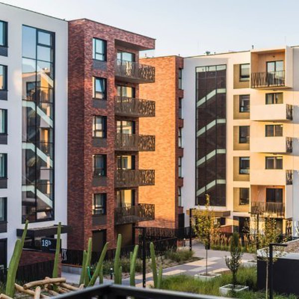 prestige-pine-forest