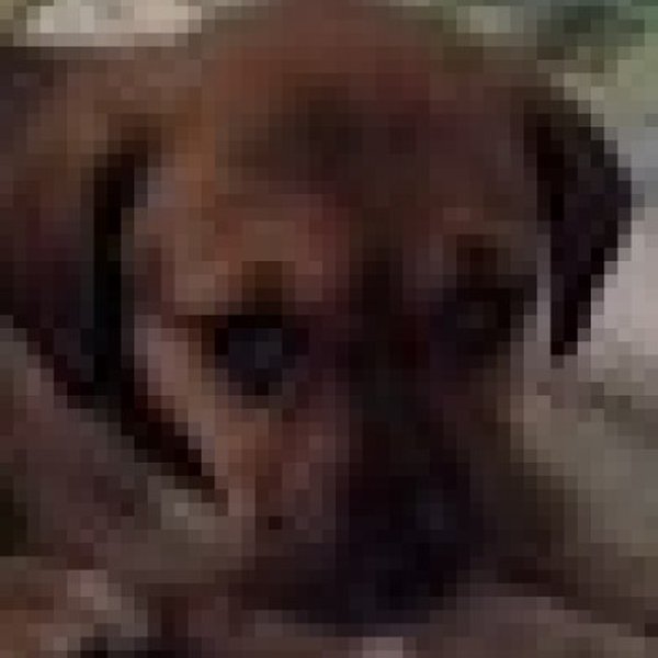 Dimitris Kasvikis's Profile | Hackaday.io
