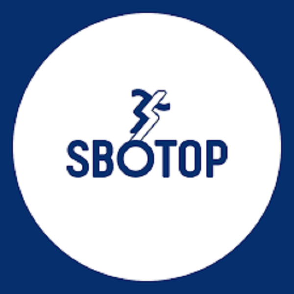 SBOTOP's Profile | Hackaday.io