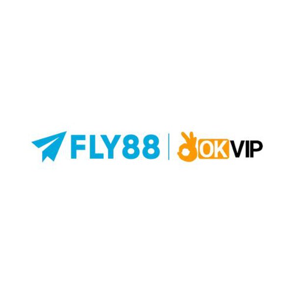 flydigital1